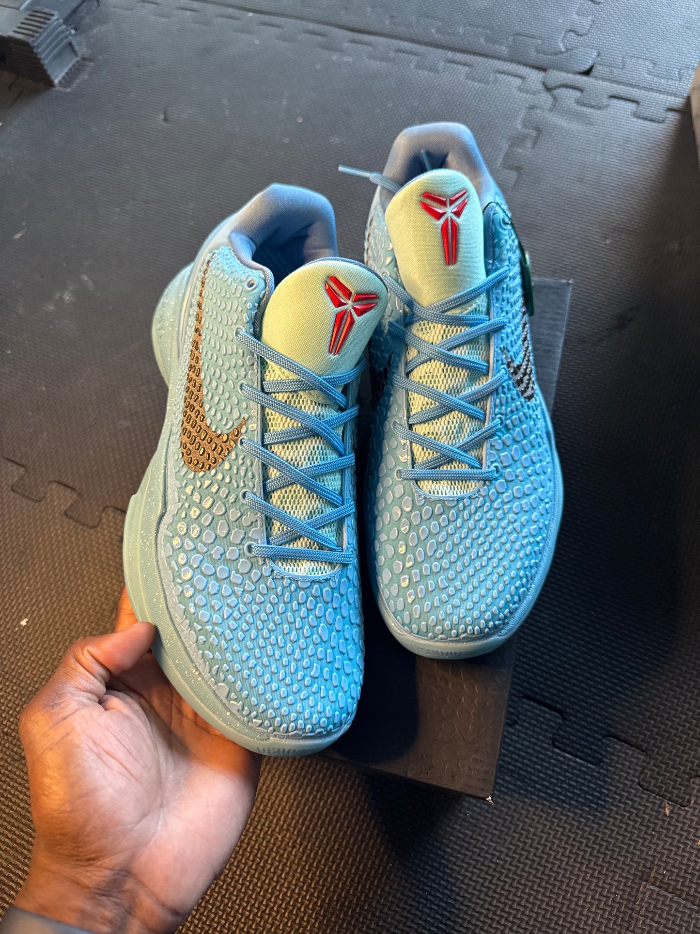 Kobe 6 “Protro”
