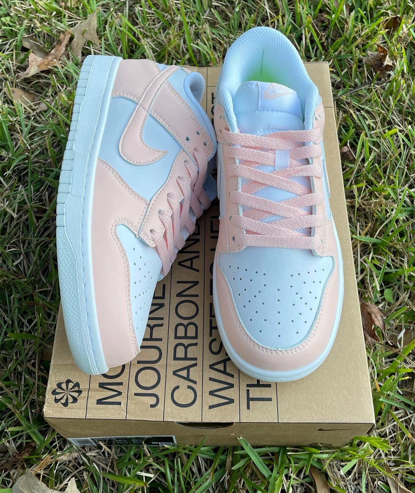 Nike Dunk “Pale Coral”