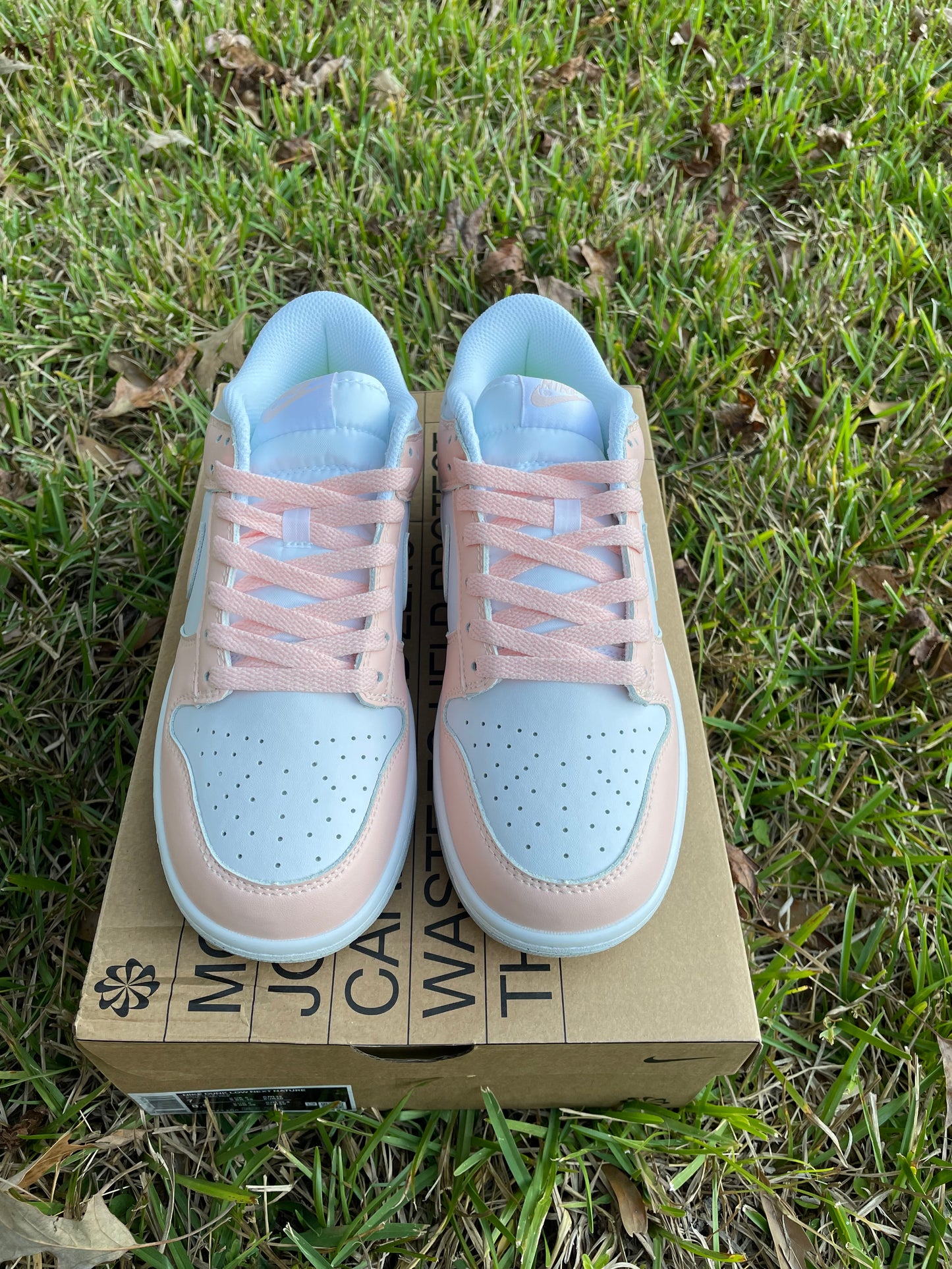 Nike Dunk “Pale Coral”